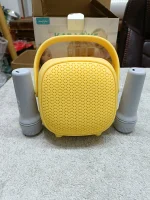 Karaoke Voice Changer Speaker – Portable Bluetooth Karaoke Machine